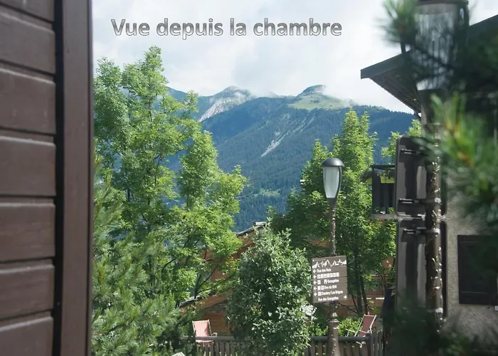 1550 - Veritable Aux Pieds - Les Tovets T2 - 47m2 - 4p * Courchevel